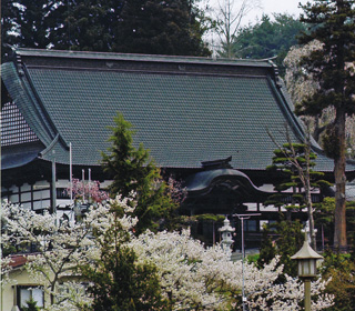 春の光明寺本堂
