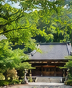 夏の境内